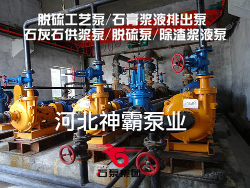 石家莊水泵廠脫硫泵