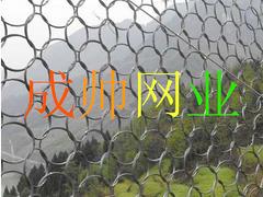 批發高強度格柵網|供應成帥優質的高強度格柵網