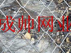 邊坡防護網(wǎng)專業(yè)報價——邊坡防護網(wǎng)什么牌子好