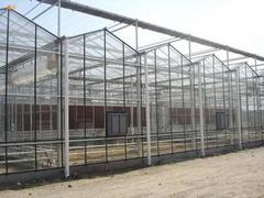 新型智能溫室大棚建造·：高性價新型智能溫室推薦