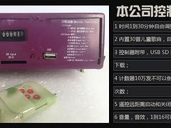 物美價廉的毛絨電動玩具推薦|泉州嘟嘟阿貍