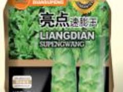 物超所值的速膨王哪里有供應：澳門速膨王