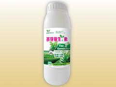 金標生化科技出售具有口碑的茶芽催生素：出售茶芽催生素