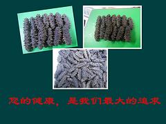 煙臺綠芝野 優惠的野生淡干海參，綠芝野海參供應