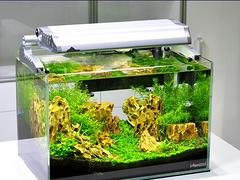 精品觀賞魚缸在蘇州有售：江蘇歐式觀賞魚缸