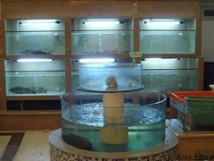 買精湛的海鮮魚缸，就到水之戀水族品——優(yōu)質(zhì)大型亞克力魚缸廠家
