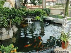 優(yōu)質(zhì)的嵌入式魚缸，水之戀水族品供應(yīng) 壁式魚缸公司