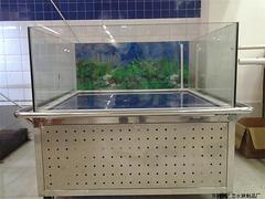 高xjb的嵌入式魚缸由水之戀水族品提供，墻體嵌入式魚缸廠家