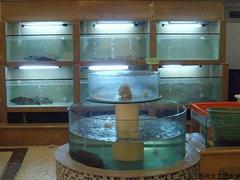 優(yōu)質(zhì)亞克力魚缸廠家——暢銷海鮮魚缸，水之戀水族品供應(yīng)