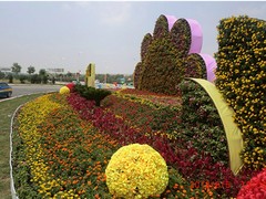 服務(wù){(diào)yl}的五色草立體花壇設(shè)計(jì)推薦開(kāi)封景宸園林|洛陽(yáng)五色草立體花壇