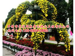 具有口碑的綠化草坪，哪里有賣|草坪綠化價格