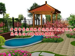 一級的別墅庭院設計——開封地區劃算的別墅庭院景觀設計怎么樣
