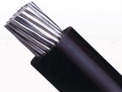 西北聚氯乙烯絕緣電力電纜廠家，蘭州眾邦提供有品質的聚氯乙烯絕緣電力電纜