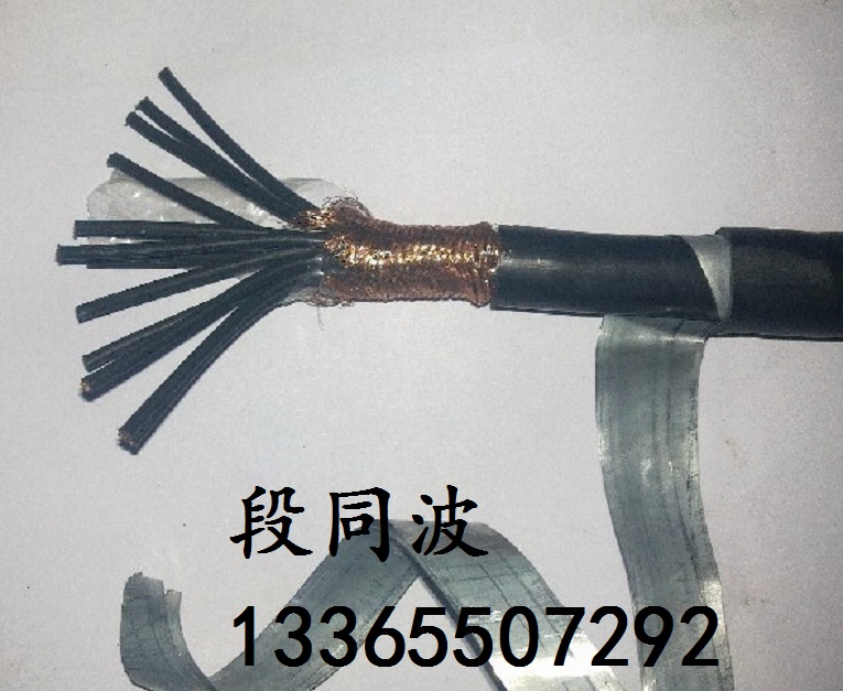 ZR-KHF4耐高溫阻燃控制電纜原始圖片3