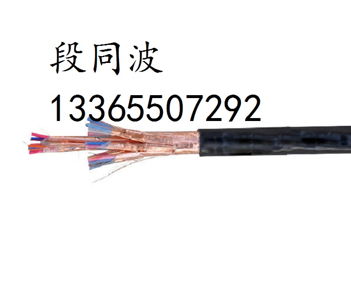 DJYJP2VP2銅帶屏蔽計(jì)算機(jī)電纜 DCS用電纜