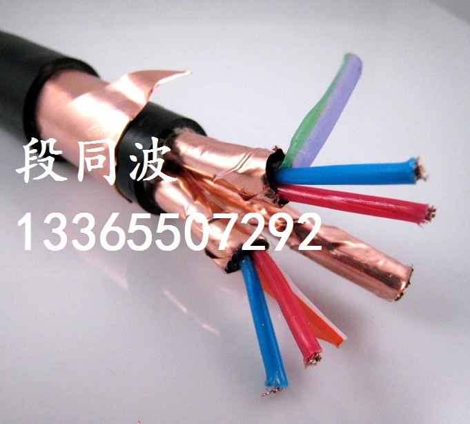 DJYJP2VP2銅帶屏蔽計(jì)算機(jī)電纜 DCS用電纜