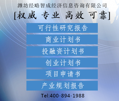 代寫創業計劃書 項目計劃書代寫  商業計劃書機構原始圖片2