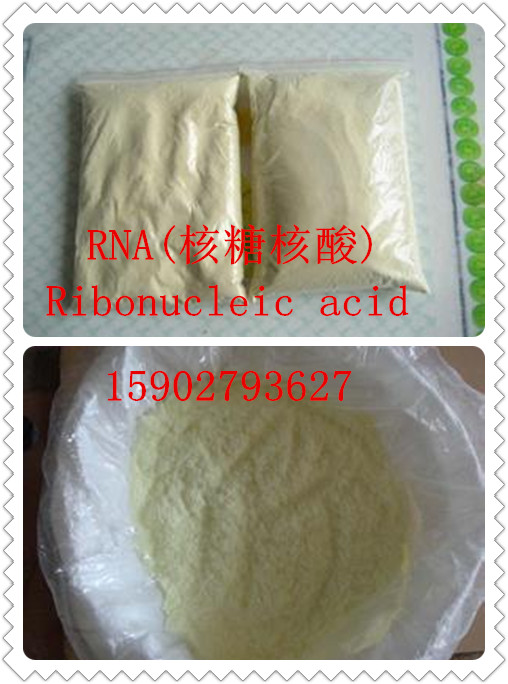 RNA(核糖核酸)63231-63-0現(xiàn)貨 優(yōu)質(zhì) 廠家