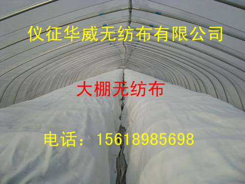 農(nóng)業(yè)無紡布 農(nóng)用無紡布 農(nóng)用用布