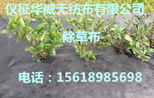 除草布 防草布 抑草布 园艺除草布