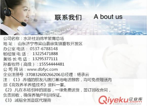 遼源市哪里有賣白頭杜泊羊的？價格便宜嗎？