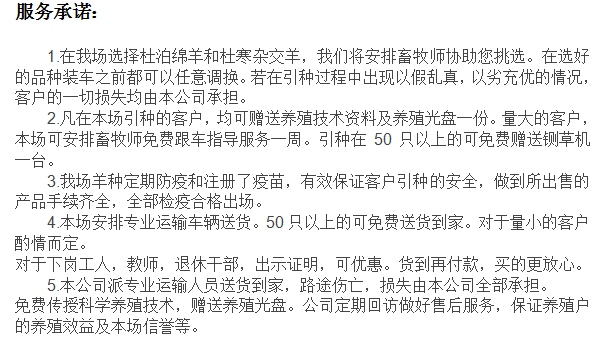 江蘇杜泊羊多少錢一只？哪里有賣黑頭杜泊羊的？