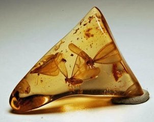 離子交換樹脂進(jìn)口報(bào)關(guān)要哪些資料原始圖片2
