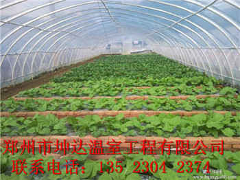 商丘蔬菜大棚建造廠家花卉大棚建造行情原始圖片2