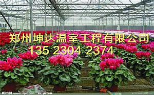 商丘蔬菜大棚建造廠家花卉大棚建造行情原始圖片3