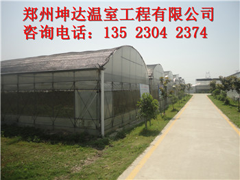 平頂山智能溫室建設標準養殖大棚建設報價原始圖片2