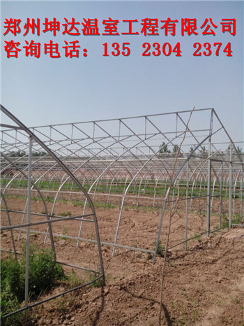唐山簡易塑料大棚建設價格鋼架大棚建設標準原始圖片2