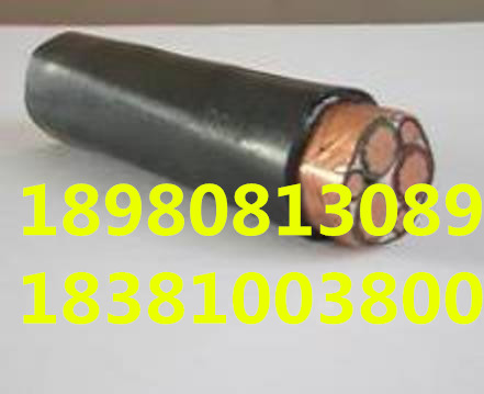 四川翌達(dá)廠家生產(chǎn) YJV3*16+1*10絕緣高壓耐火電力電纜 vv電力電纜 電線電力電纜