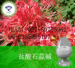 白藜蘆醇 虎杖提取物    