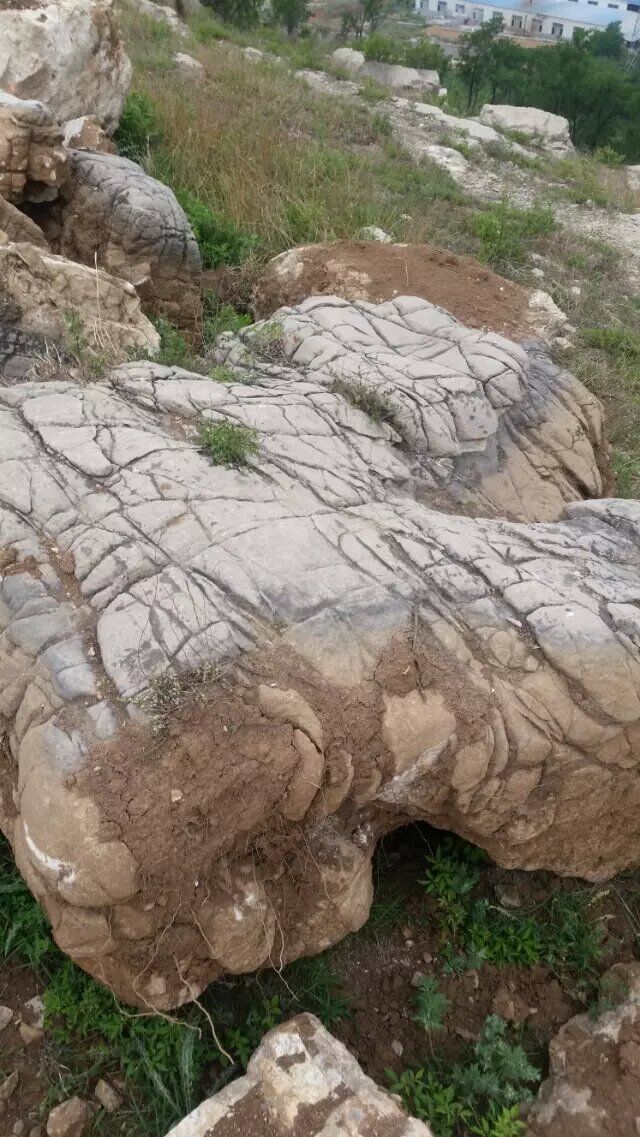 山東龜紋石，千層石，水紋石，假山石。假山安裝湖岸施工。15653651009---15653651009原始圖片3