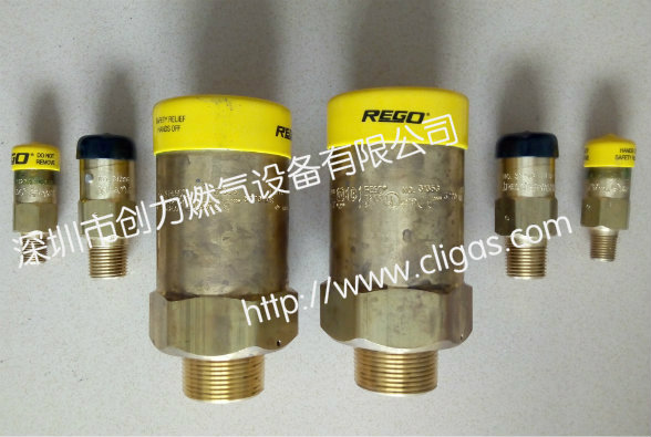 REGO-3127G/3129G液化氣安全閥 PRV9432T低溫安全閥