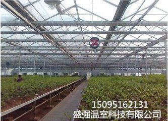 想要有品质的智能连栋温室建造就到盛强