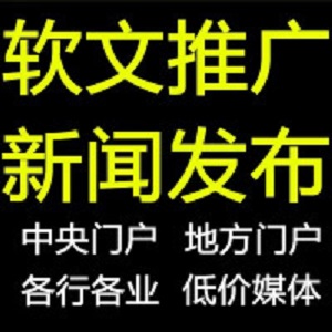 专业新闻发稿合作媒体