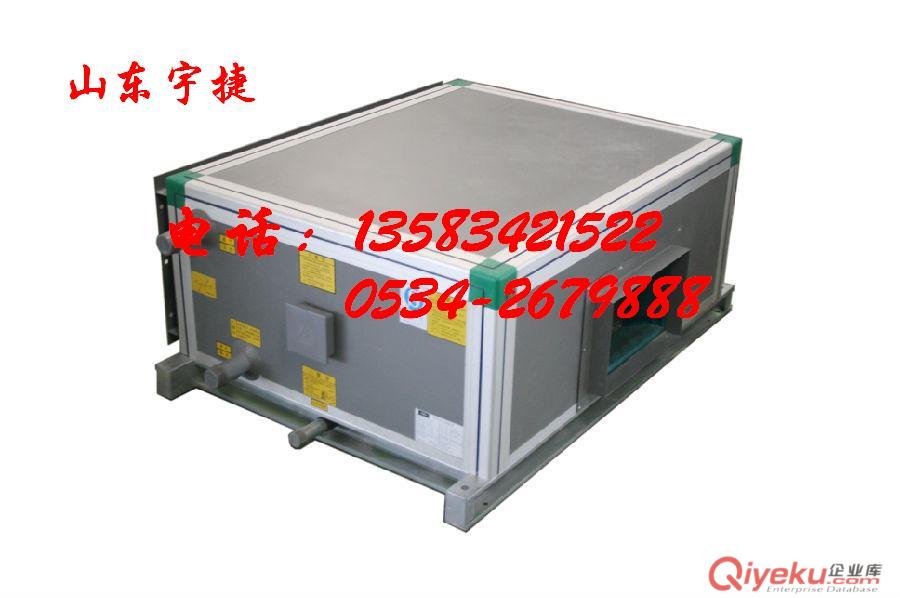 KD(X)吊頂式新風(fēng)機(jī)組FP10×2D{zd1}報價
