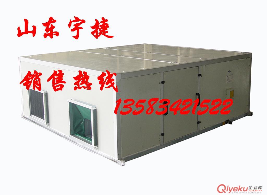 KD(X)吊頂式新風(fēng)機(jī)組FP80×2D哪個(gè)牌子好