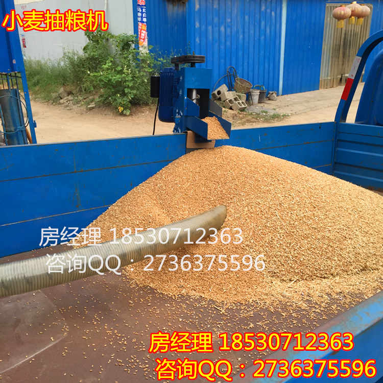抽糧 吸糧的泵 自動裝車的抽糧泵的機器 