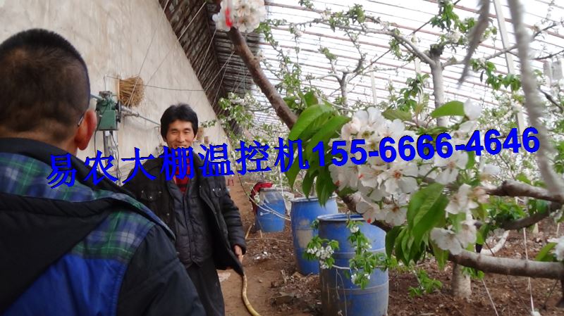 大棚开关风口温控自动放风机招大棚区分销商大棚增产好工具_黄山