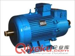 YZR系列電機參數說明