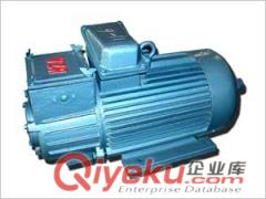 YZR系列電機(jī)參數(shù)說明原始圖片2