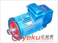 YZR系列電機(jī)參數(shù)說明原始圖片3