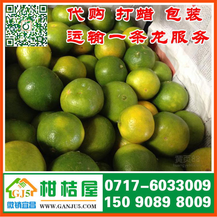 花果山早熟蜜桔市場批發(fā) 岳陽市花果山早熟蜜桔銷售產(chǎn)地那里便宜