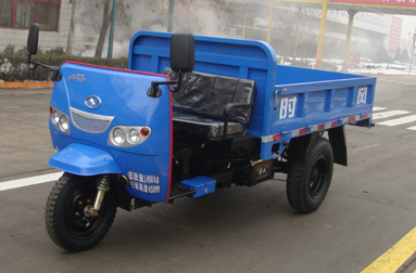 新款時風鋒銳自卸三輪車價格 農(nóng)村載貨三輪車 三輪車配件 電動汽車配件