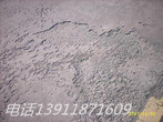 供應(yīng)混凝土保護(hù)劑,潮濕粘接 保護(hù)地面