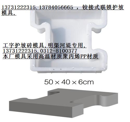 供應(yīng)河道護(hù)坡磚模具 專業(yè)銷售