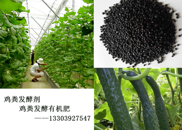 污泥處理設(shè)備 污泥發(fā)酵設(shè)備 污泥發(fā)酵有機(jī)肥設(shè)備