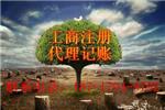 公司如何上Q板，Q板挂牌上市的要求